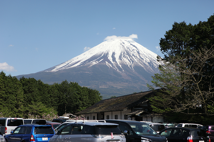 [日本富士山環山之旅]-靜岡-朝霧高原-近距離賞花觀鳥的富士鳥花園